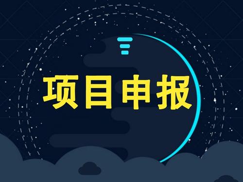 企業科研項目補貼申報書怎么寫（科技項目補貼申請模板）