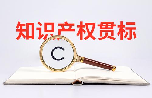 小微初創企業怎么申請知識產權貫標？