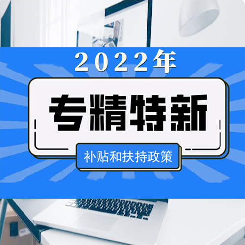 廣東省專精特新中小企業評分標準