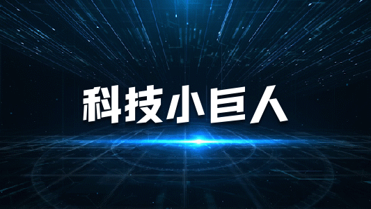 專精特新中小企業申報條件